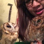 11033022_937209202998371_1542837876_a