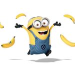 11358046_494489280710013_587390495_a