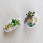 11324417_665215333579328_1804976478_a