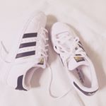 11931106_1615558208694243_438898944_a