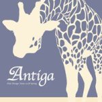 10956543_391025287735931_157392754_a