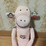 11856710_1671096813121438_288664062_a