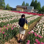 11123827_465620746927203_628154905_a