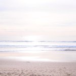 10852913_323835744489247_1638489496_a