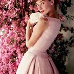 11336202_890134801035546_324213223_a