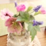 11820650_877913312283496_2038124905_a