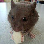 Profile_1118272527_75sq_1393167885