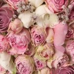 927394_671268139634331_6416669_a