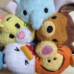 11352245_395124084027187_375992133_a