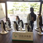 11909983_1602150506712923_1420263184_a