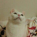 926829_685834631470383_683415861_a