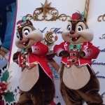 11910461_1055642807794179_872553314_a