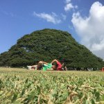 11208573_1587532744847721_81217549_a