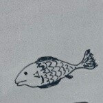 11085182_1562970147317149_1355616807_a