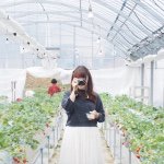 11192566_865345210168152_1010149585_a