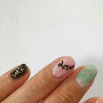 11427315_1456526987991202_383785573_a