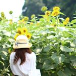 11258135_1685450281686498_137938441_a