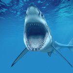 10684092_1482119542037318_1027514667_a