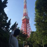 11809744_1165261420156678_1834106235_a