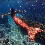 11417488_1618027868481836_578472538_a