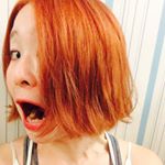 11348322_1593148184243336_1611434785_a