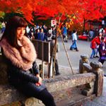 11326007_502281239935326_1150295183_a