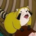 11311260_500589086772160_1456896035_a