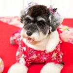 10518102_787716361288685_2060616522_a