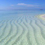 10838796_740971632652011_1634035421_a