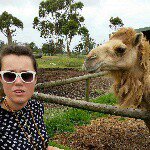 11184557_363318373867377_677059336_a