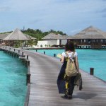 11359001_457902284381884_1068762307_a