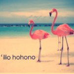 10809737_829620903768527_224221396_a