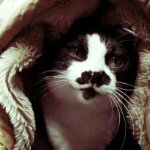 11906130_143760202632342_876841185_a