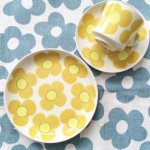 11093029_1429426420687298_1548883970_a