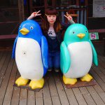 11093116_954889214535066_1744026377_a