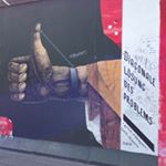 11875399_115696568779078_370391305_a