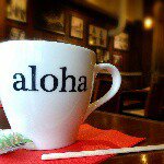 11123878_1095315987161884_575700112_a