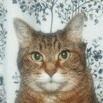 10731881_1525827950990163_1714038077_a