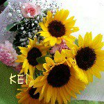 11424605_494425874042823_11238181_a