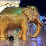 10616989_323376691173336_308859275_a