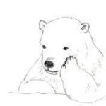 11376488_1581228095455300_1091722386_a