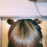 11116976_1581301932117525_1731342797_a