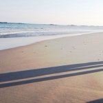 11875317_1479964312298959_1595531209_a