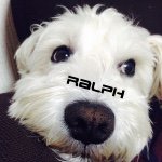 11123735_1411981415784139_181426380_a