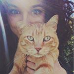 11849901_1618541788413877_63512137_a