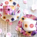 11055753_1576378659306520_468588774_a