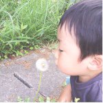 11379152_897007130366739_1371226550_a