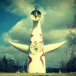 11352189_911724572200259_1168958789_a