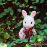 10914694_389656567886464_207991510_a