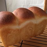 11809587_702195863218078_1891146467_a